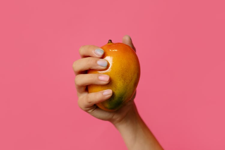 Person Holding Ripe Mango Fruit