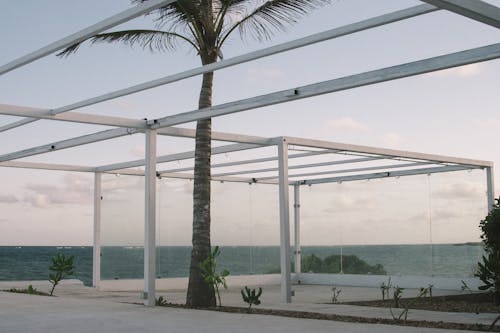 Empty space for summer cafe located near sea beach with growing palms against sunset sky