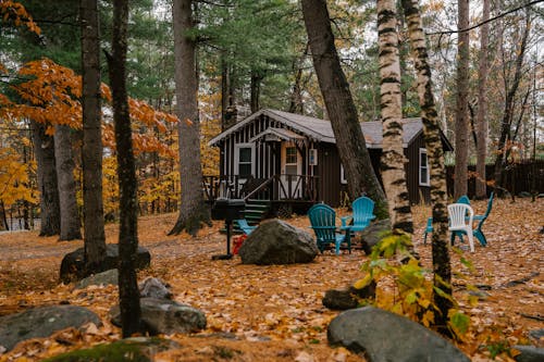 Cozy wooden house and chairs in autumn forest