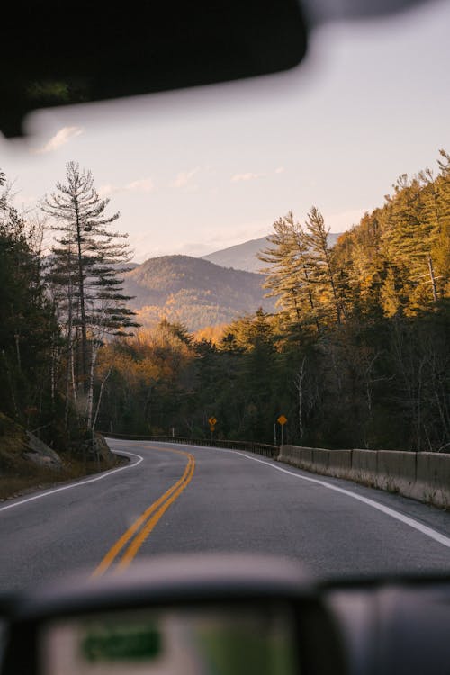 Through windshield glass of empty asphalt road going through forest with lush coniferous trees growing on mountainous countryside on sunny autumn day