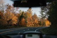 Modern car driving along curvy asphalt road amidst lush autumn trees in countryside on sunny day
