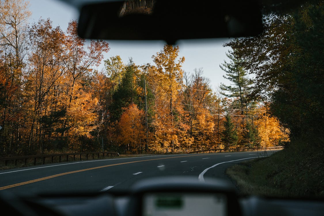 scenic road as seen through a windshield