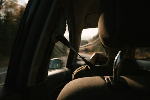 Back view of unrecognizable person driving modern car on road amidst lush autumn trees during trip in countryside