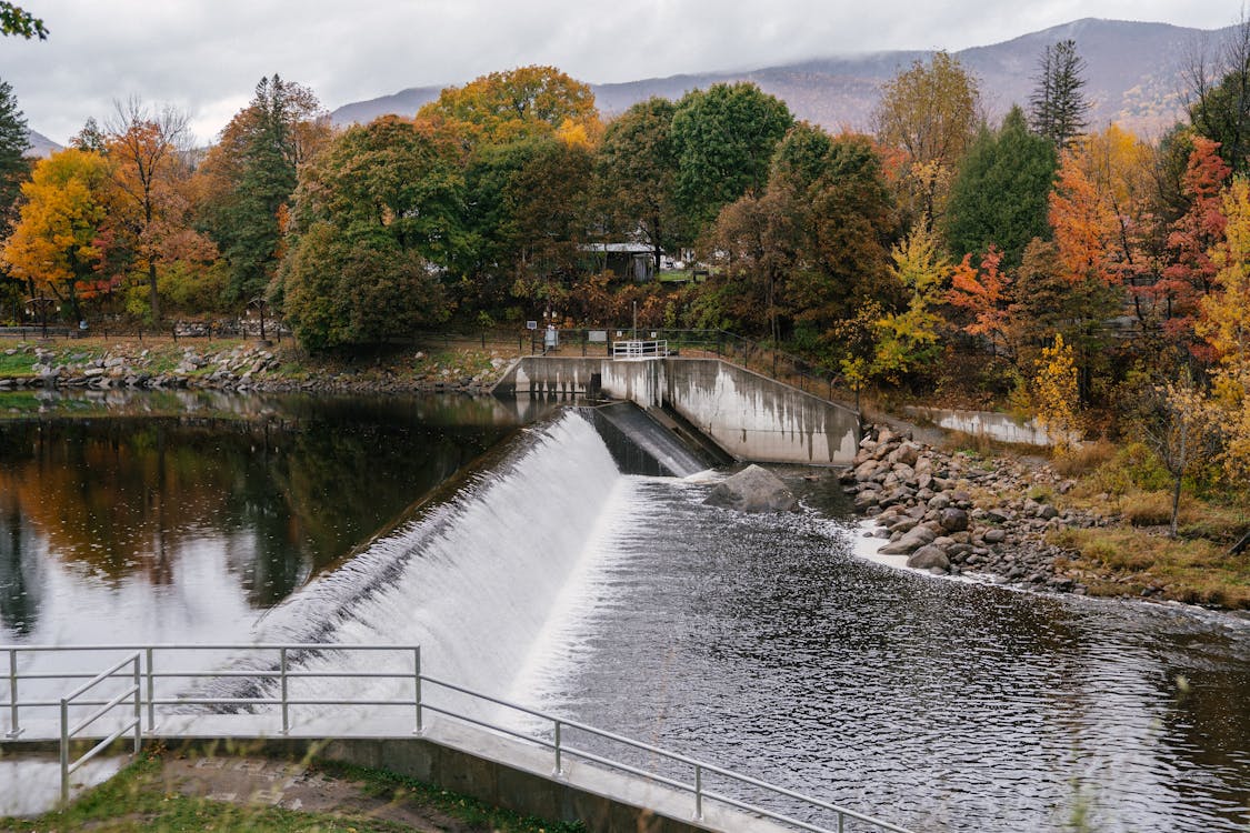 Flussdamm Neben Bäumen Unter Grauem Himmel