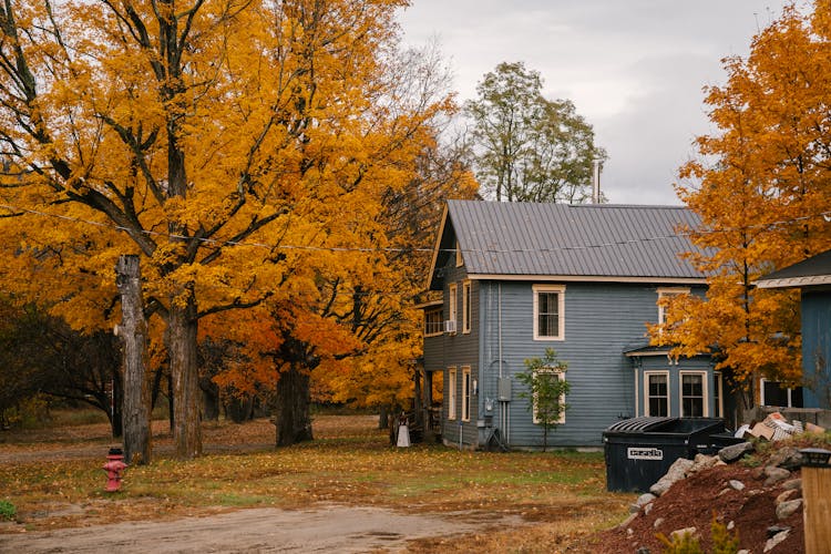 House Among Yellow Trees In Daytime