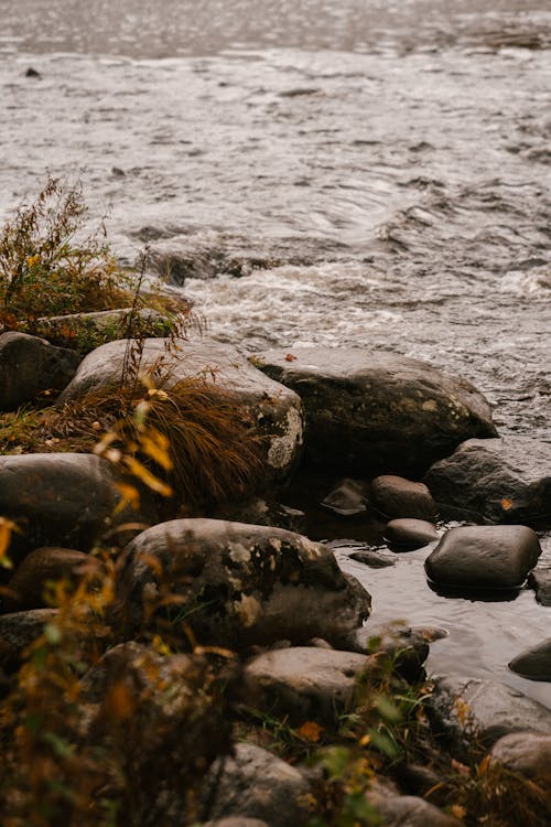 Gratis lagerfoto af å, bæk, blågrøn