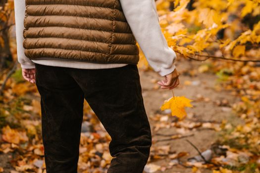 一个穿着暖和衣服、无法辨认的人，白天在秋天的森林里漫步，手持一片充满活力的枫叶，背景模糊不清