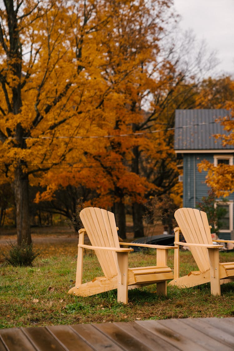 Chairs On Lawn By House And Tree In Autumn