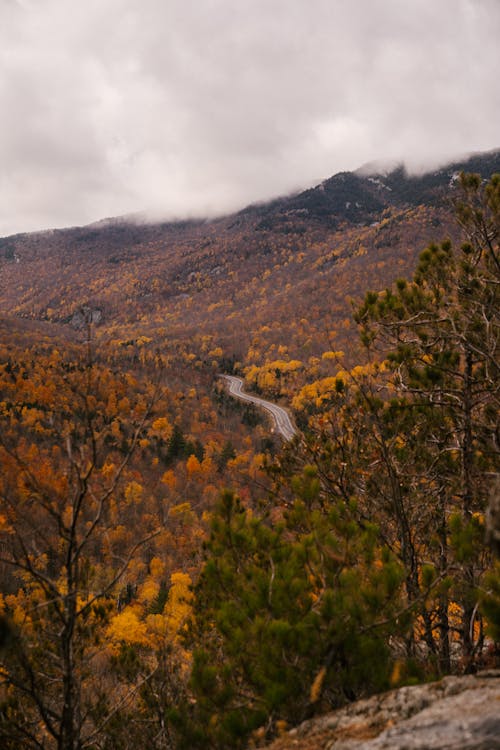 Scenery of spacious mountainous valley with lonesome roadway running through yellow autumn trees on overcast cloudy weather