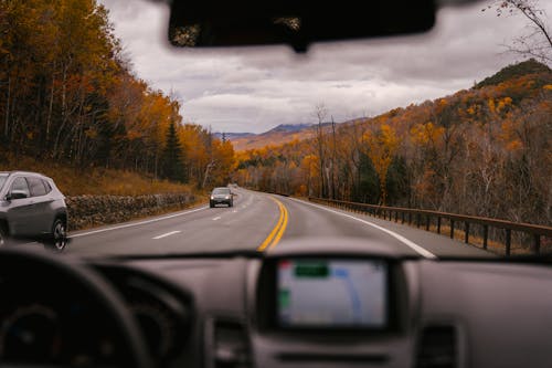 Car riding on highway through autumn forest