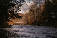 风景如画的河流穿过森林，桥梁横跨其间，两岸是褪色的秋日树木