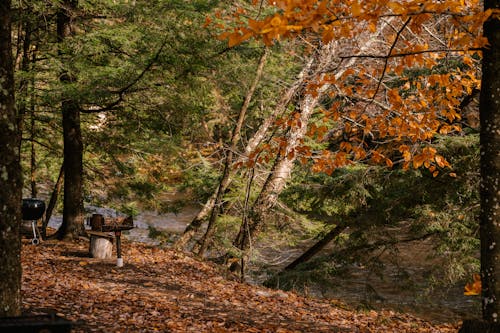Weekend Weather Watch: Best Days to Rake, Bake, and Relax
