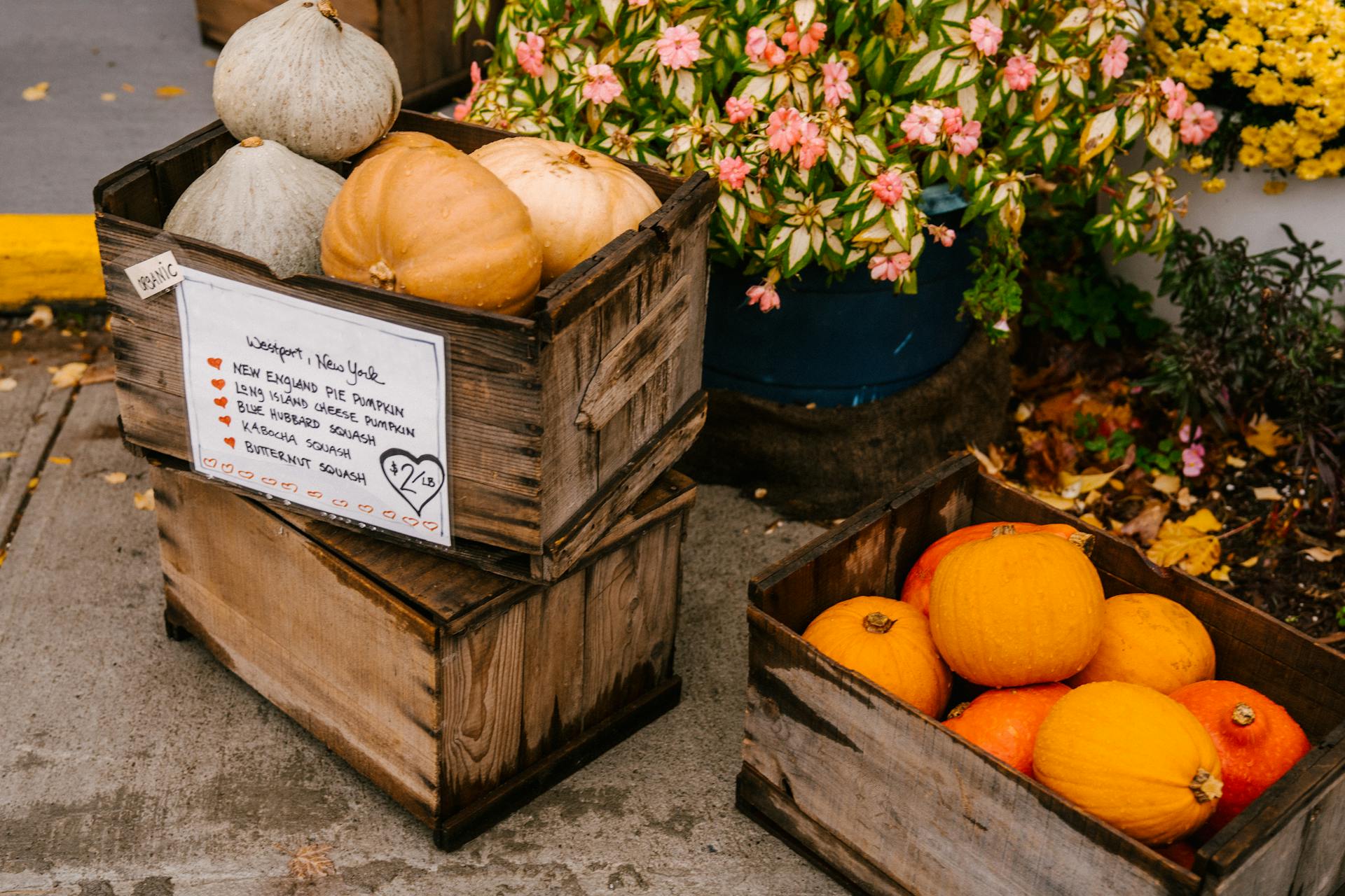 From above of wooden containers full of harvested pumpkins placed near blooming flowers growing in flowerbeds at local market