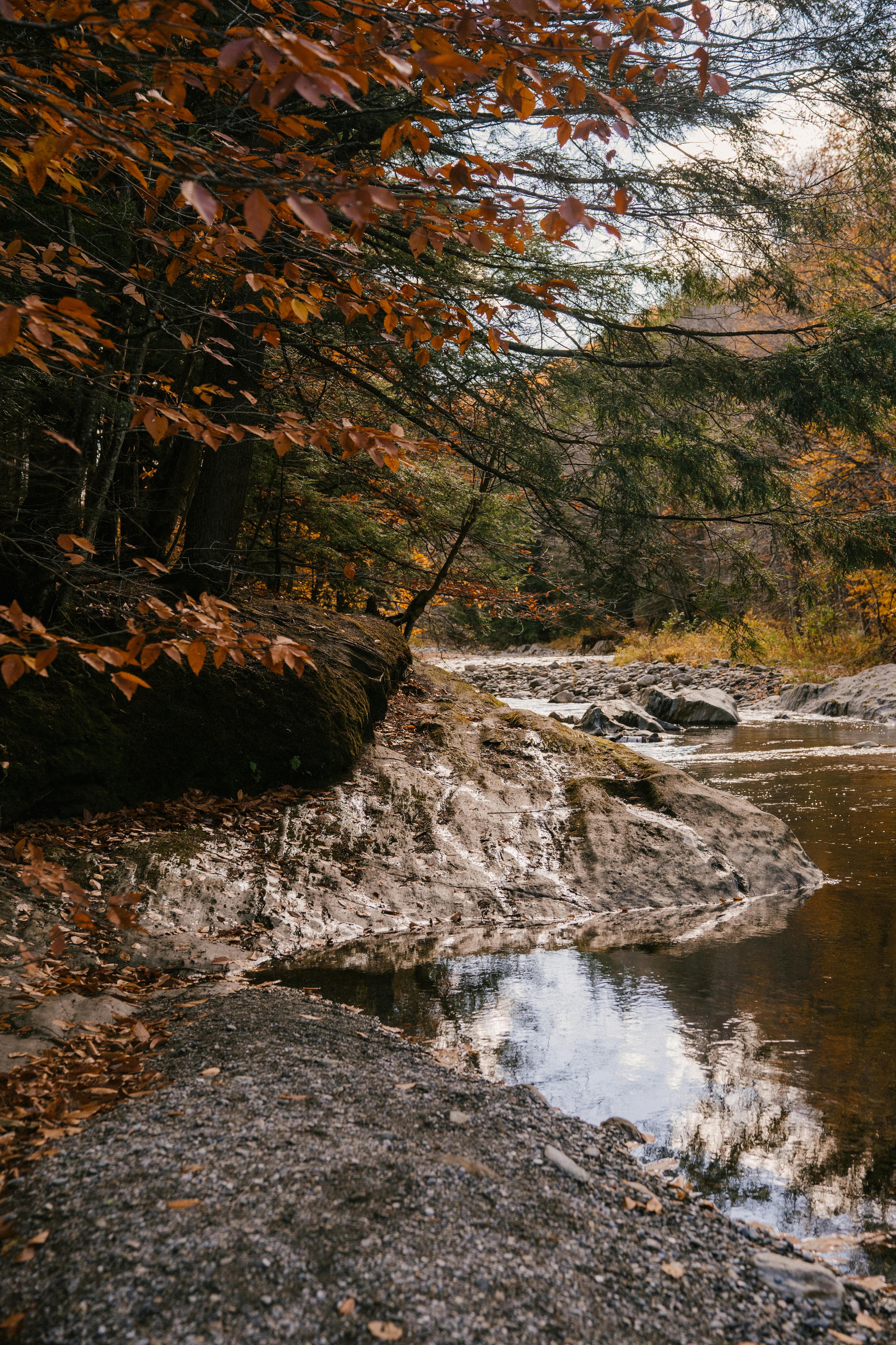 River Flowing Through Stones In Forest · Free Stock Photo