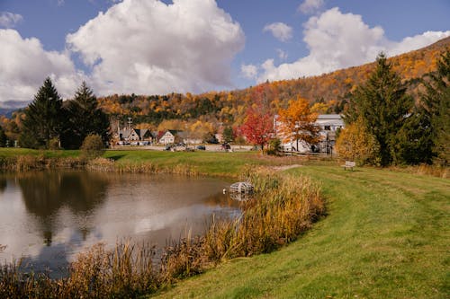 Calm pond with grassy lawn and residential buildings surrounded by yellow trees in autumn countryside