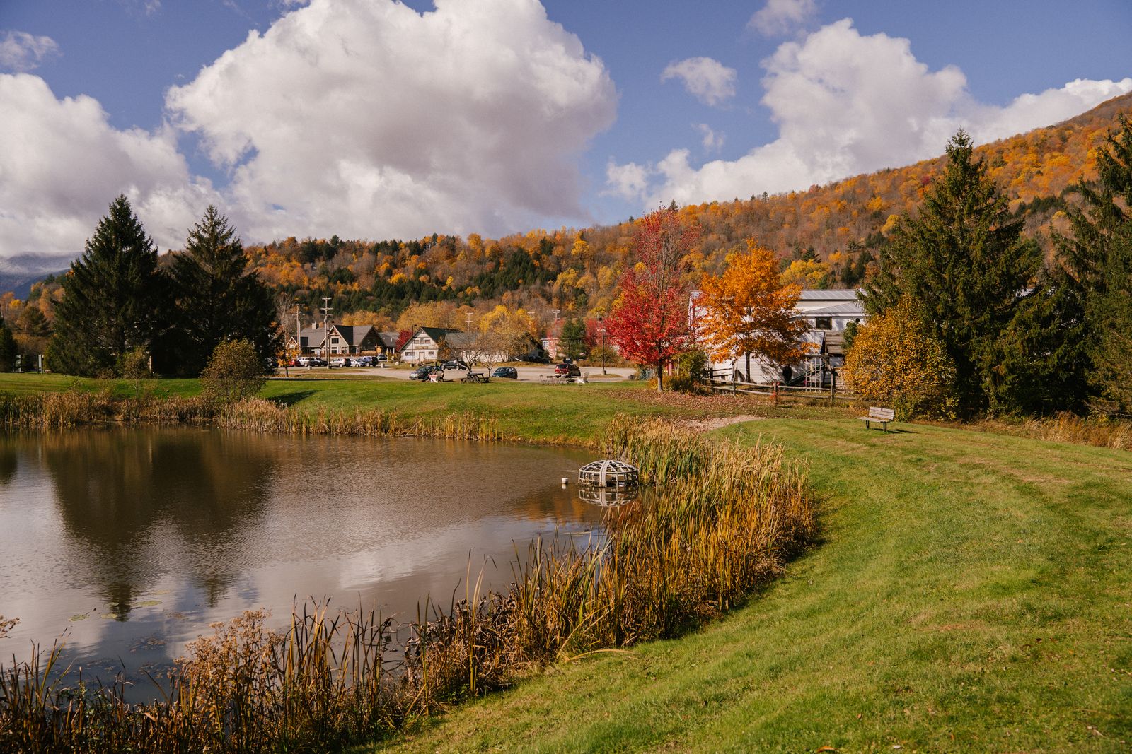 Island Pond & le Nulhegan Basin
