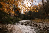 River stream flowing through stony shore