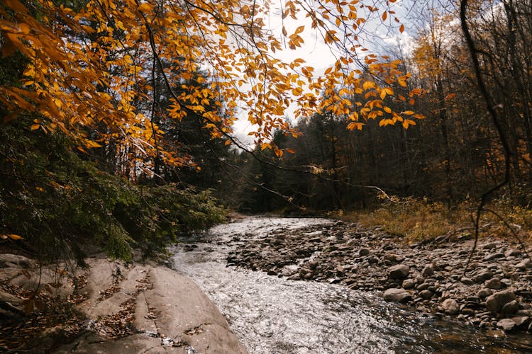 River Stream Flowing Through Stony Shore