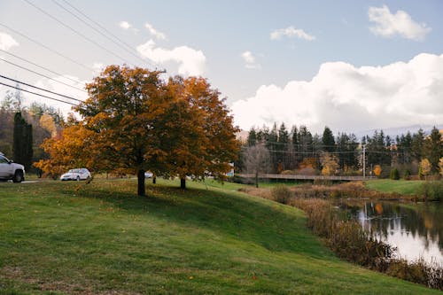 Vehicles driving on road near green lawn with trees and calm pond in village in autumn day