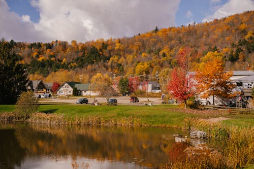 Rural houses in autumn day on shore of pond