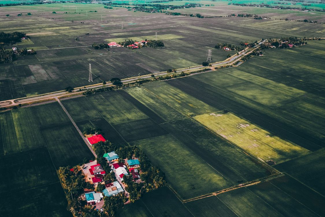 Agricultural fields in countryside at daytime · Free Stock Photo