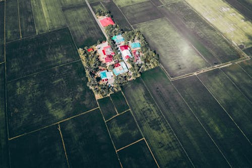 Foto profissional grátis de aéreo, agrícola, altura