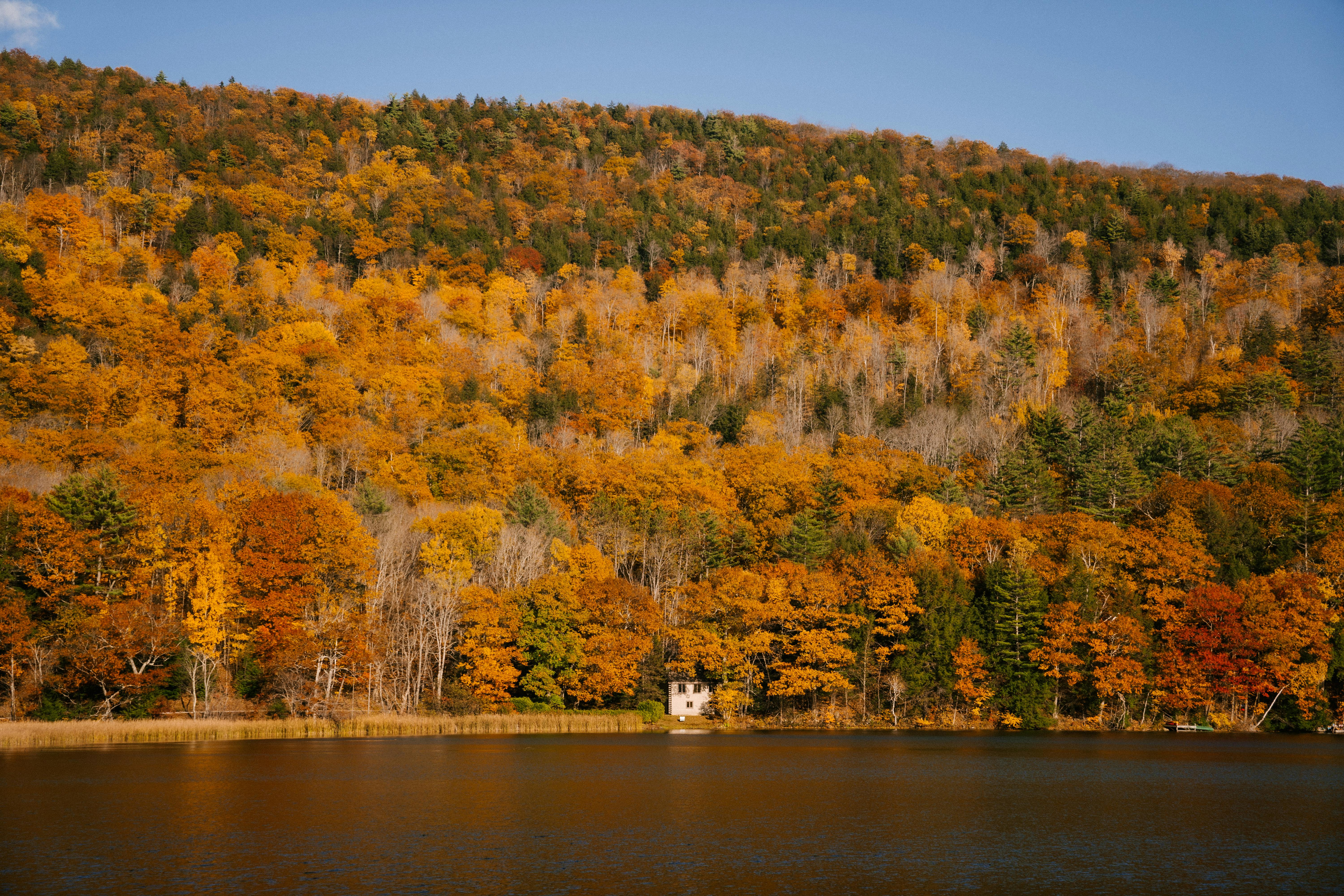 colorful autumn trees near lake