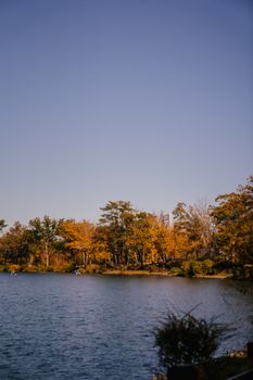 宁静的湖畔、充满活力的秋叶和清澈的蓝天，非常适合大自然爱好者