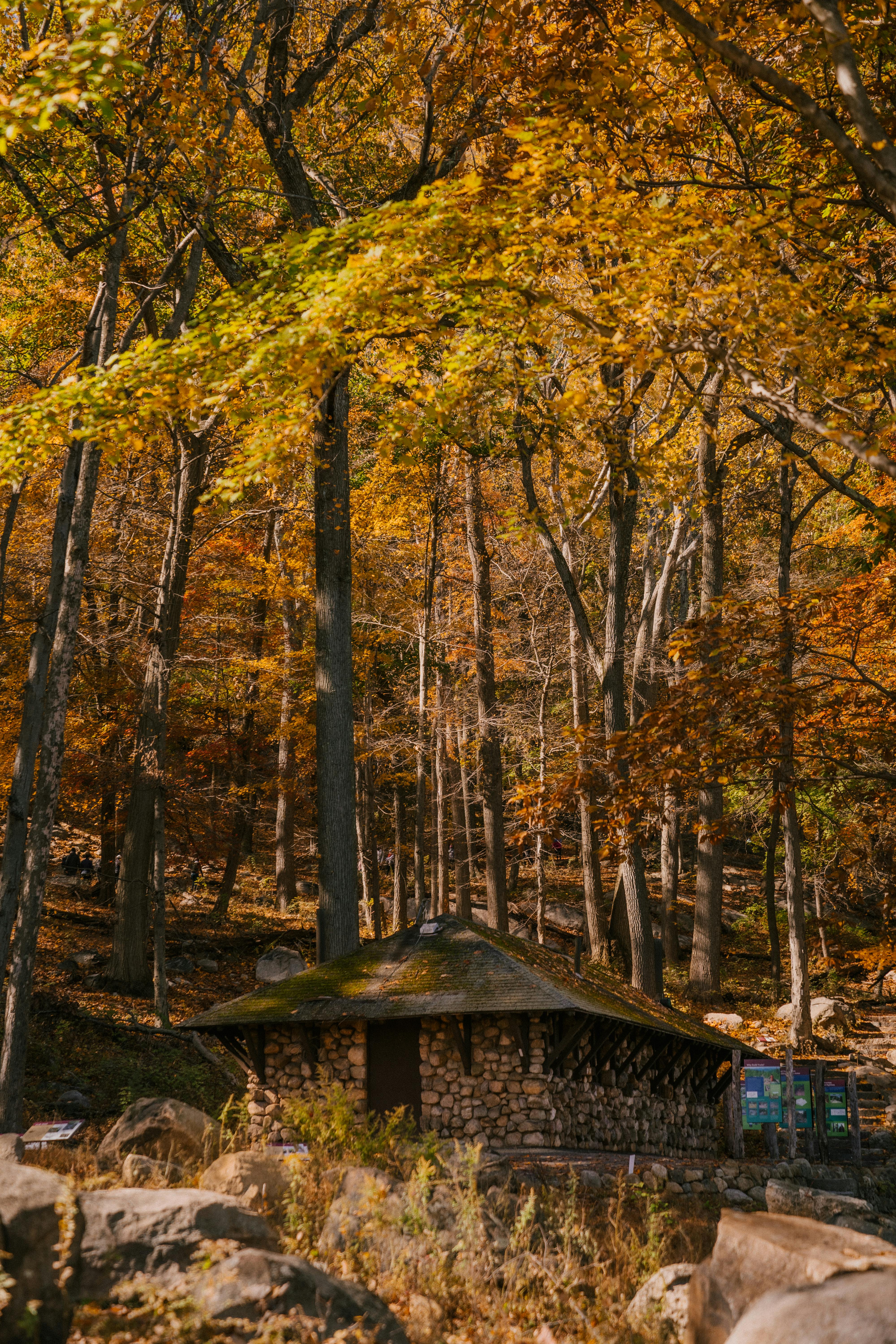 autumn trees near stone house