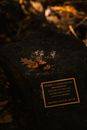 Memorial stone in autumn park on sunny day