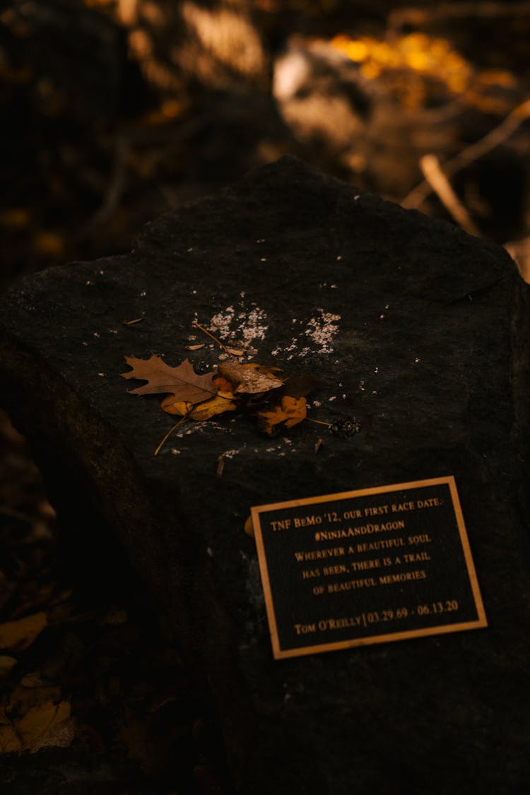 Memorial Stone In Autumn Park On Sunny Day