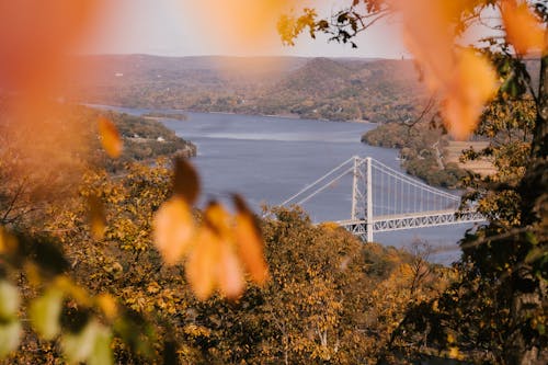 Pont Suspendu Sur La Rivière Entouré D'arbres D'automne Luxuriants