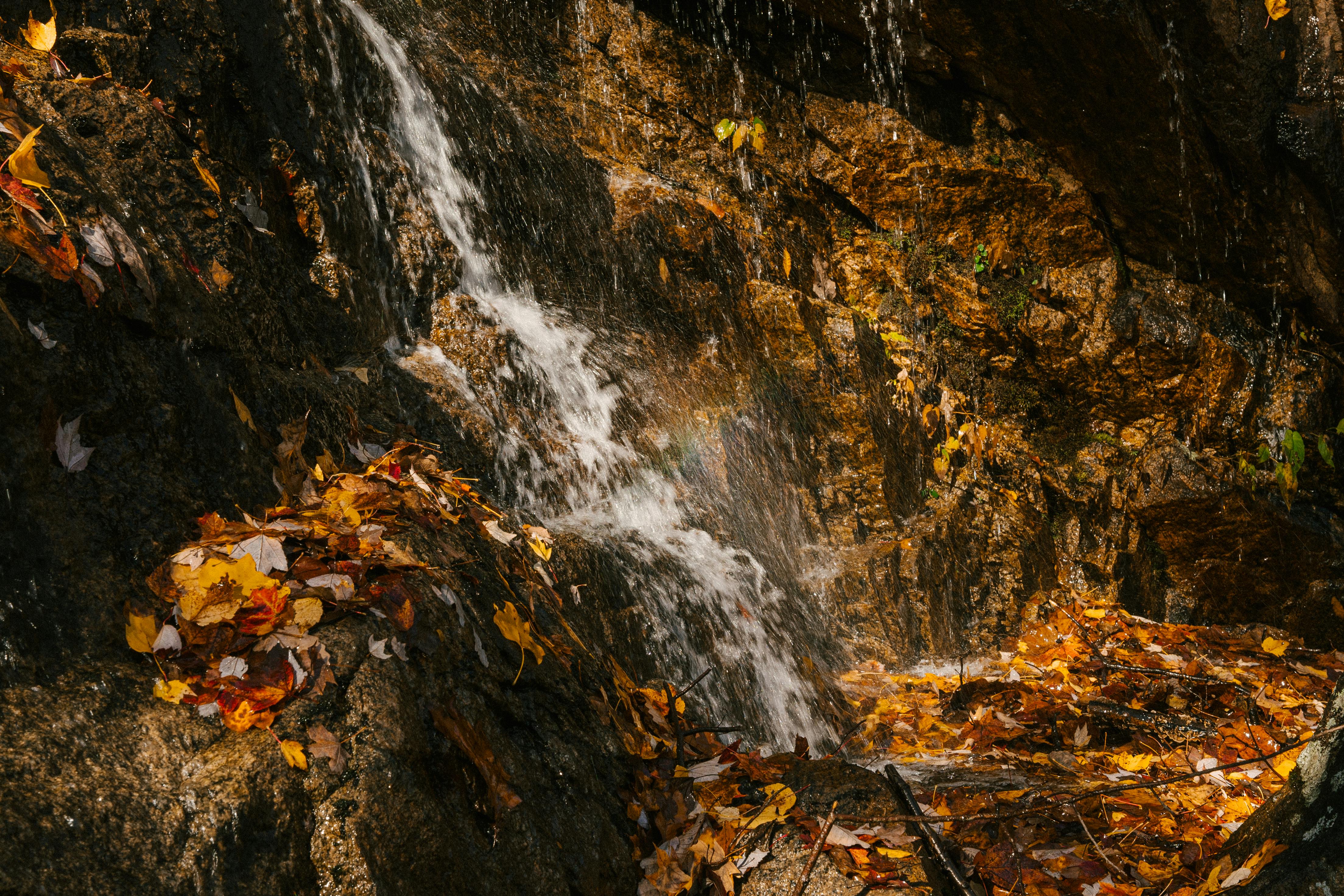 waterfall on mountain with bright autumn leaves