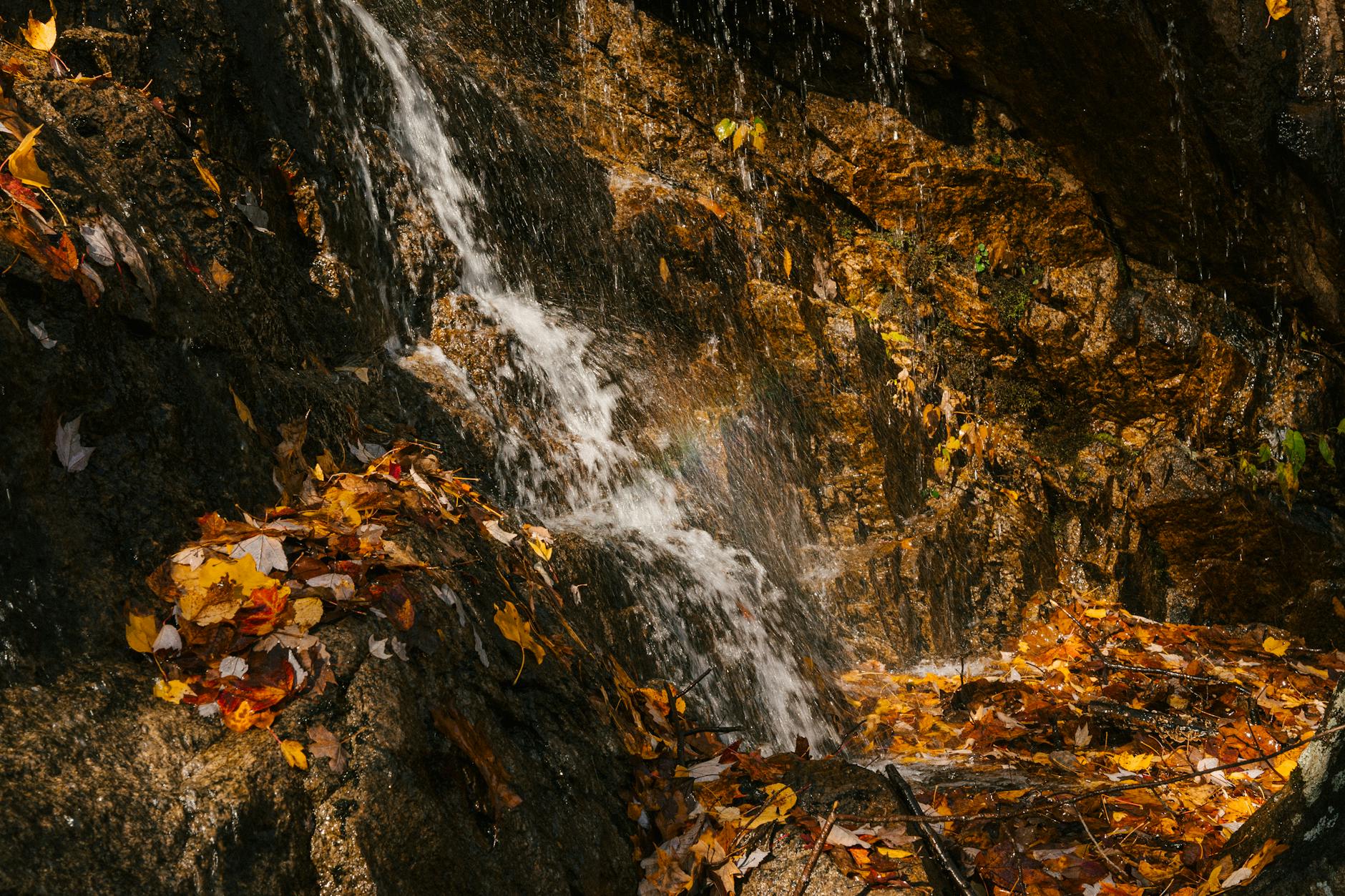 Picturesque view of cascade with fast water flow on rough mount covered with faded leaves in fall