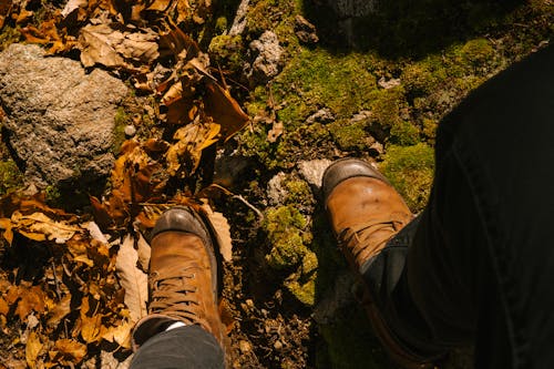 Overhead view of crop anonymous traveler in leather shoes standing on dry terrain with autumn foliage