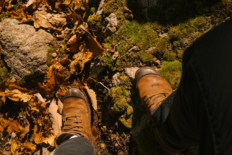 Crop Tourist On Mossy Rock With Faded Leaves