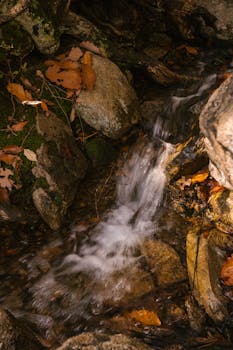From above of waterfall with fast and foamy flow on mount with dry leaves in autumn