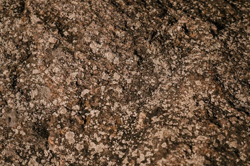 Textured background of uneven rock with scabrous surface and dry moss in countryside