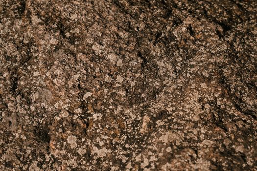 Textured background of uneven rock with scabrous surface and dry moss in countryside