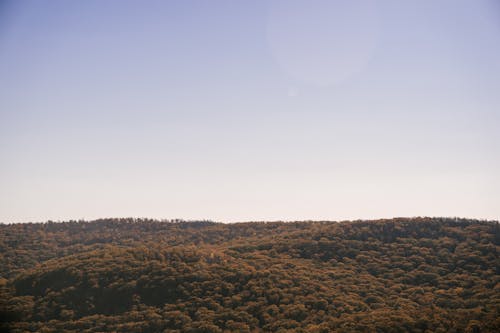 Fotobanka s bezplatnými fotkami na tému botanika, Copy Space, dedinský