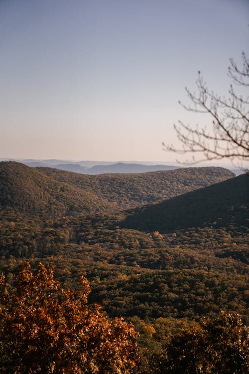 Picturesque scenery of trees with bright autumn foliage on hills under clear sky