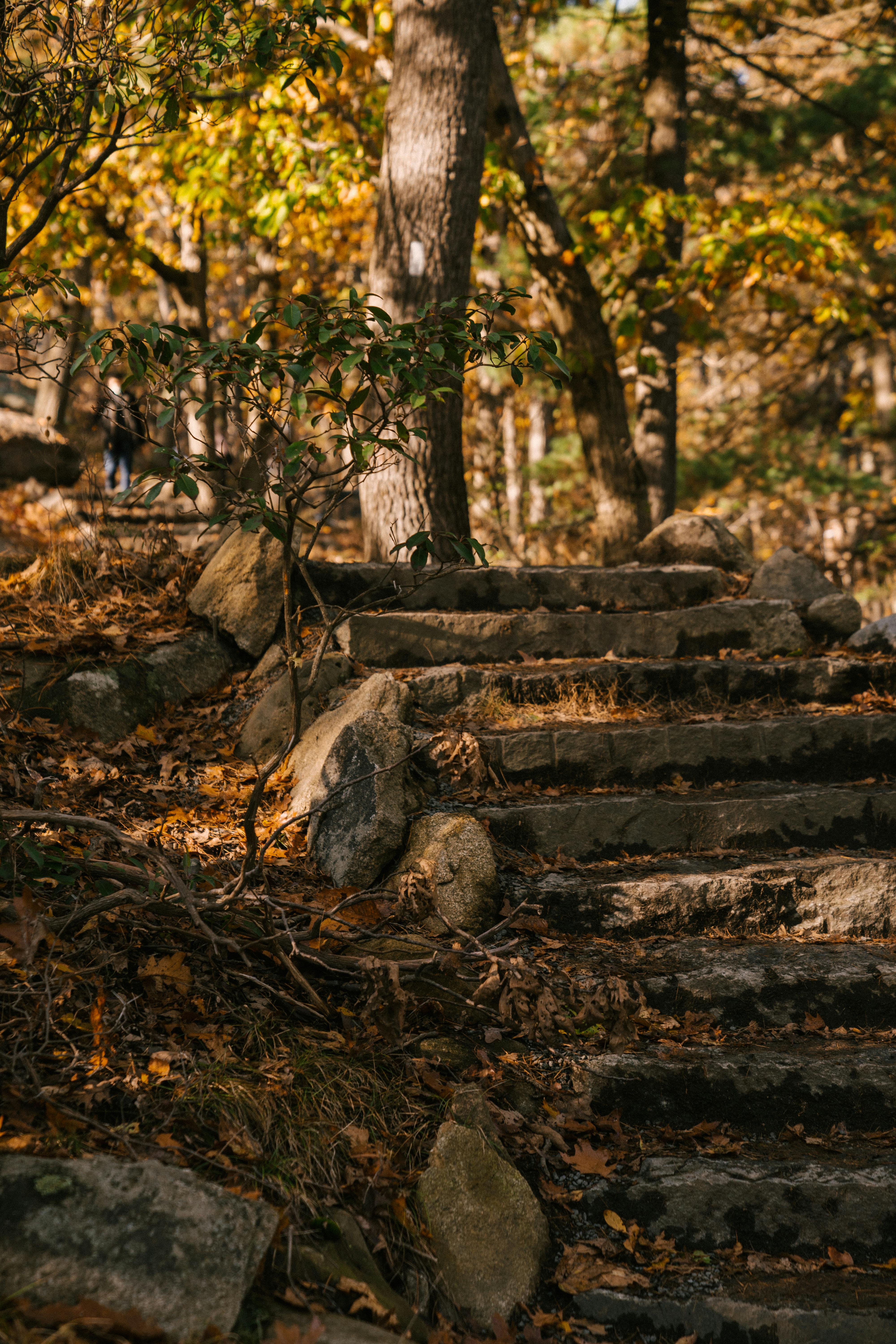 old stone steps in fall park