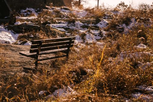 Free Empty wooden bench located in tranquil autumn wild nature with snow on dry grass Stock Photo