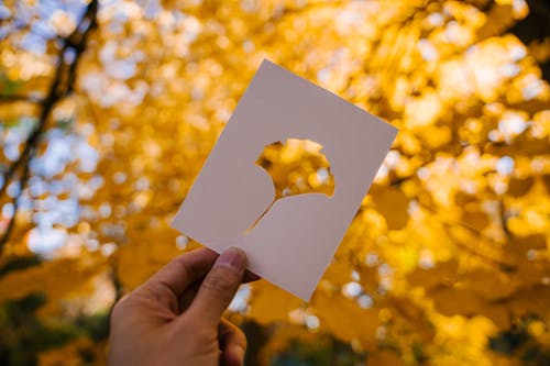 Person showing card against yellow autumn leaves