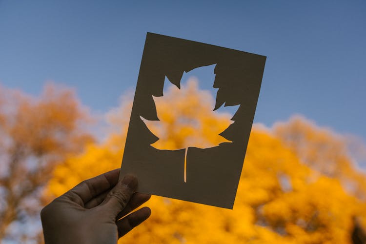 Hand Of Person With Postcard With Cut Out Maple Leaf Against Autumn Trees