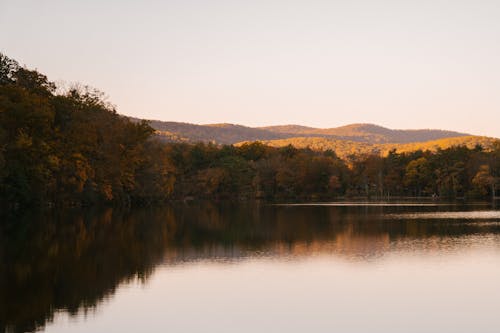 無料 秋の木々に囲まれた穏やかな湖 写真素材