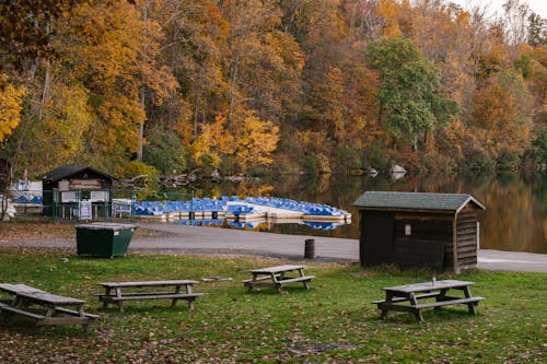 川のある秋の公園に置かれたベンチと小さな家のある桟橋