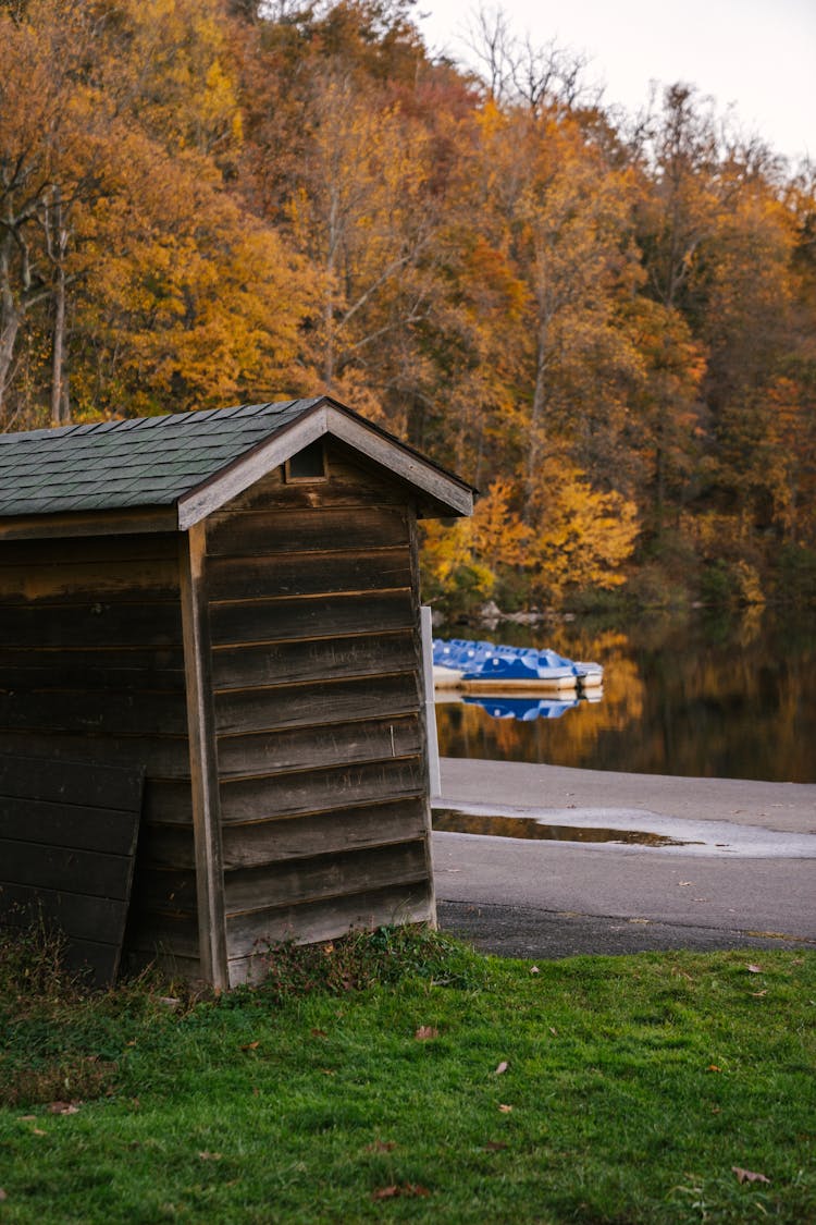 Wooden House Located In Park With Calm Lake