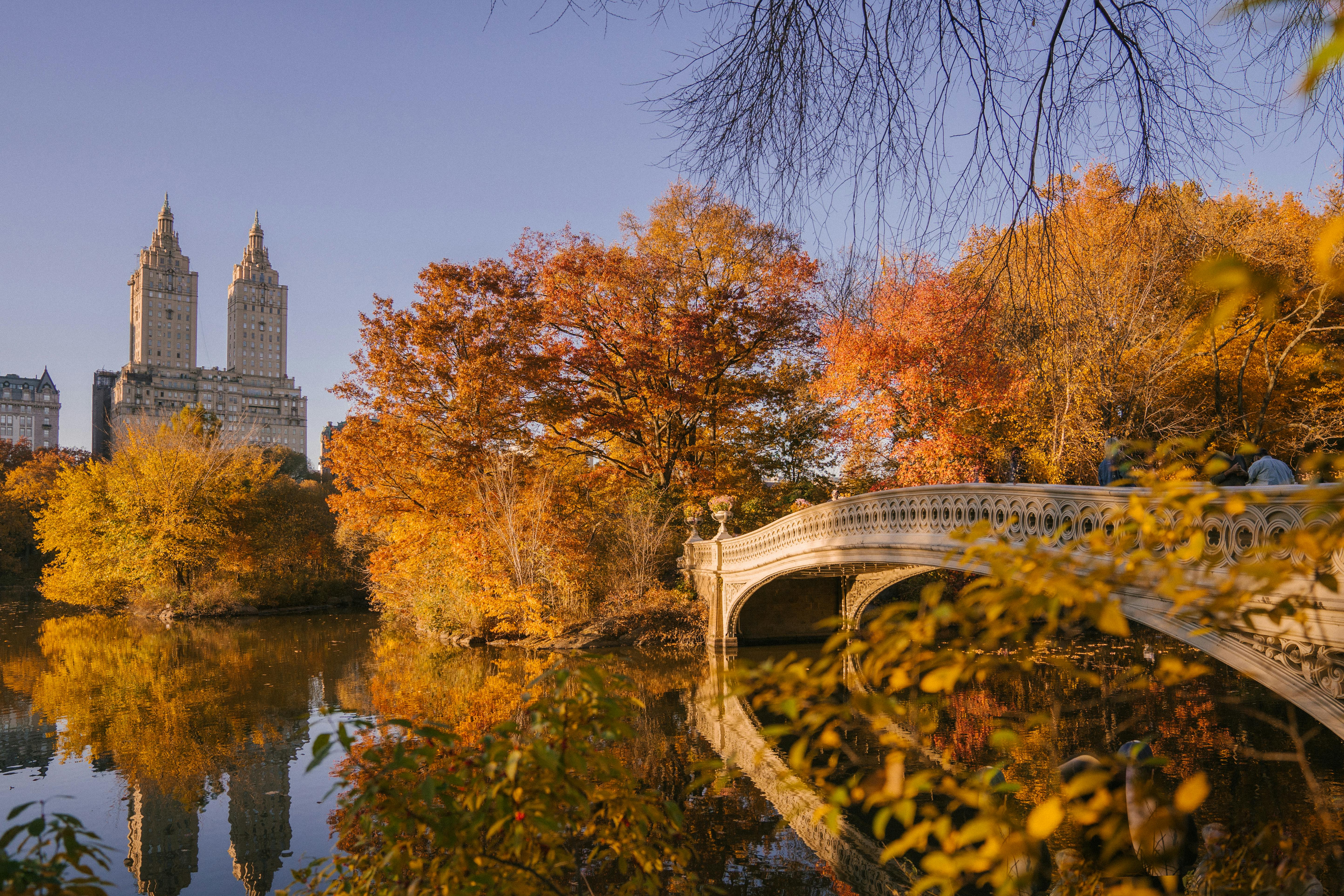 Exploring City Breaks in North America: A Comprehensive Guide