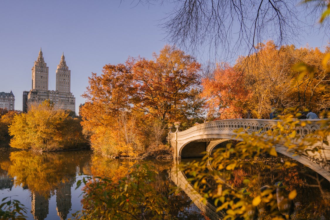 Bow Bridge crossing calm lake in autumn park · Free Stock Photo